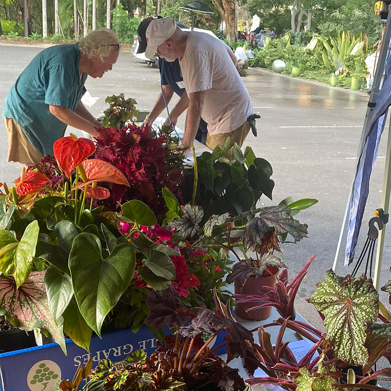 Flower Sale